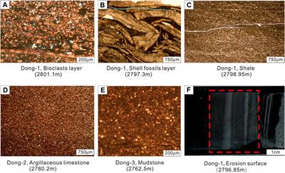 Lithofacies Types, Assemblage Characteristics, and Sedimentary Evolution Model of Lacustrine Shale in Dongyuemiao Formation of Fuxing Area